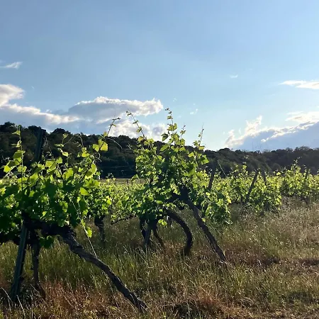 Mas Saint Michel Vives