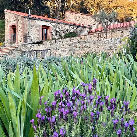 Holiday home Mas Saint Michel