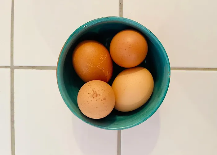 Nyaraló Mas Saint Michel *